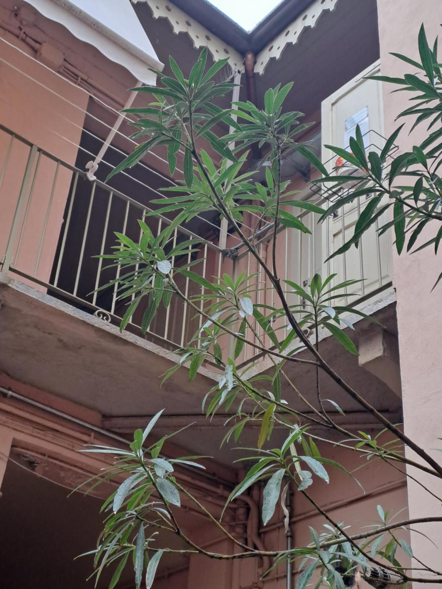 Ferienwohnung Liberty House Turin Exterior foto